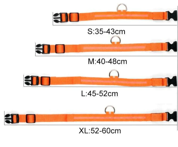 GlowPets LED-Halsband – Sicherheit und Sichtbarkeit für Haustiere