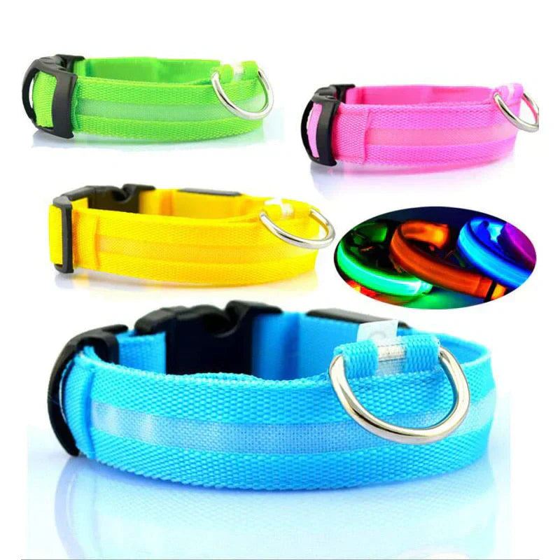 GlowPets LED-Halsband – Sicherheit und Sichtbarkeit für Haustiere