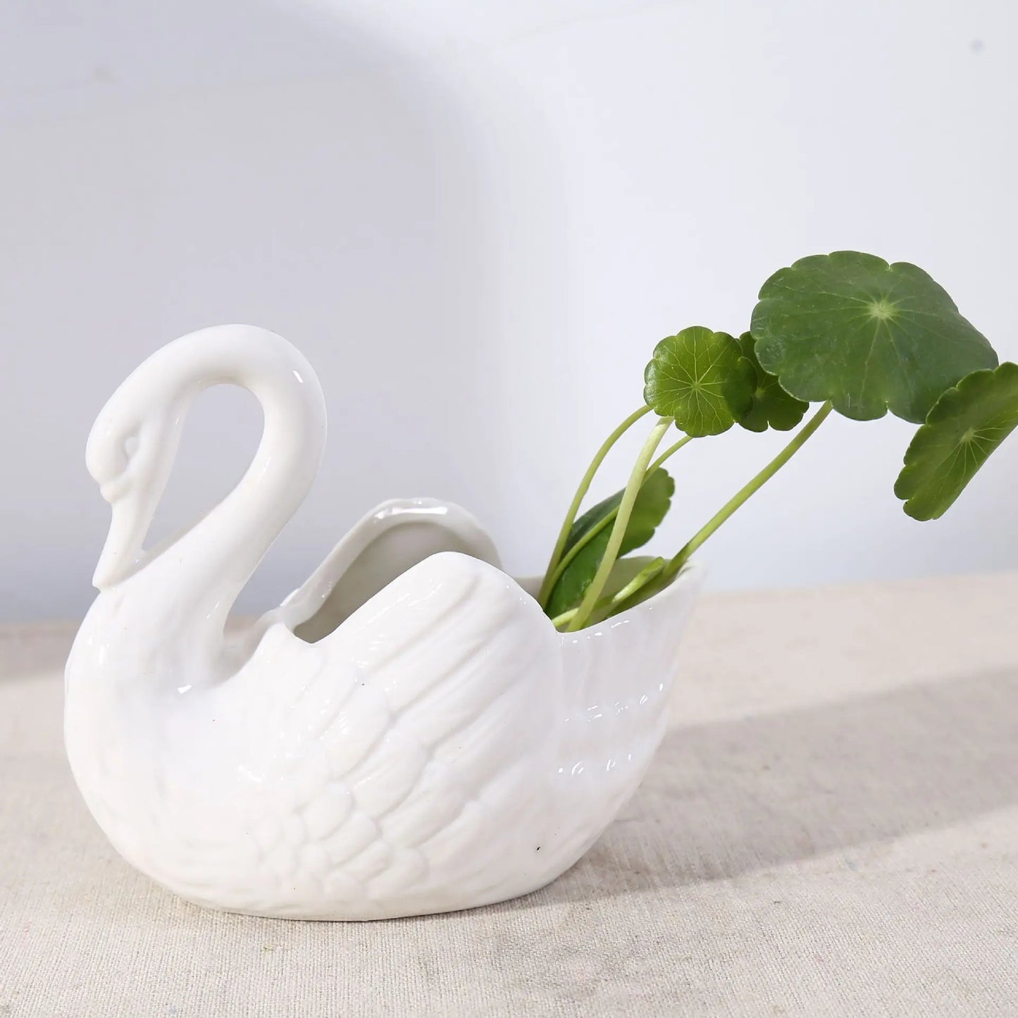Swan Minimalistischer Keramiktopf | Brehn
