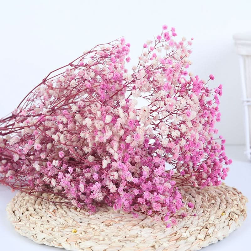 Getrockneter, konservierter Schleierkraut-Blumenstrauß – Natürliche Dekoration