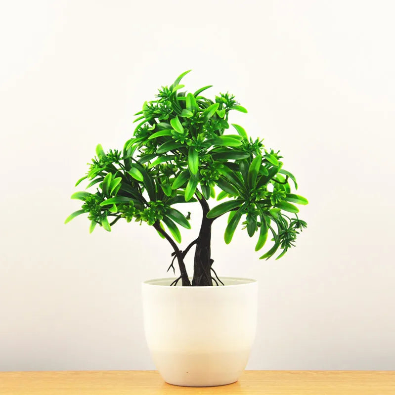 Brehn | Kleine Baumtopf Bonsai Pflanzen