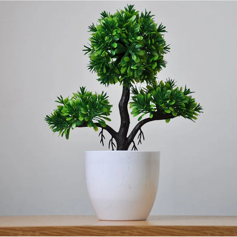 Brehn | Kleine Baumtopf Bonsai Pflanzen