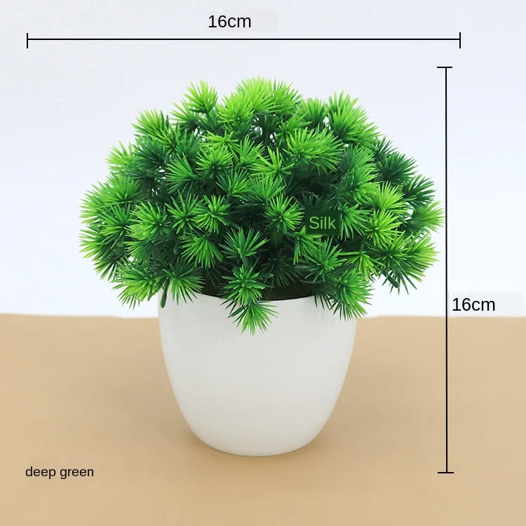 Brehn | Kleine Baumtopf Bonsai Pflanzen