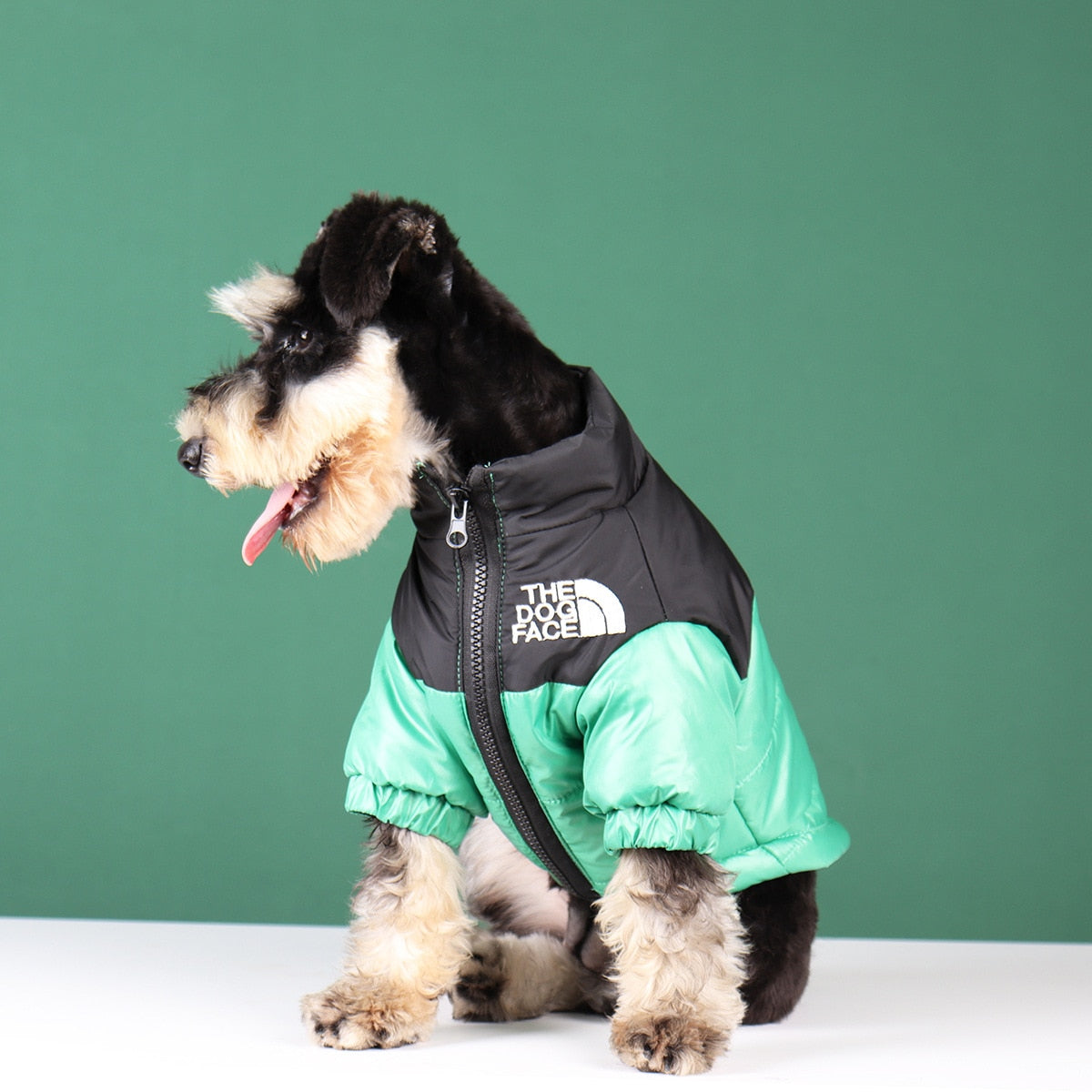 Die Hundegesicht Jacke - Typ A