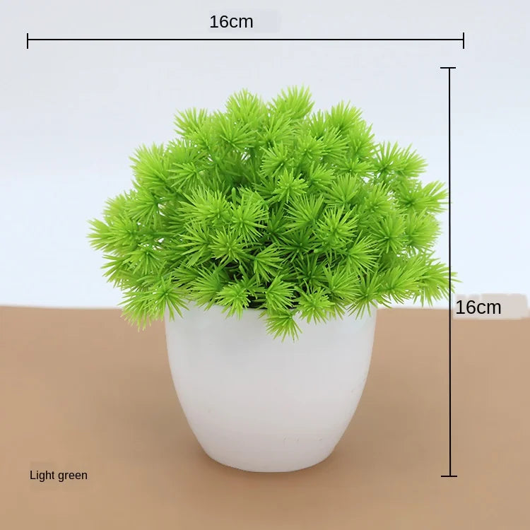 Brehn | Kleine Baumtopf Bonsai Pflanzen