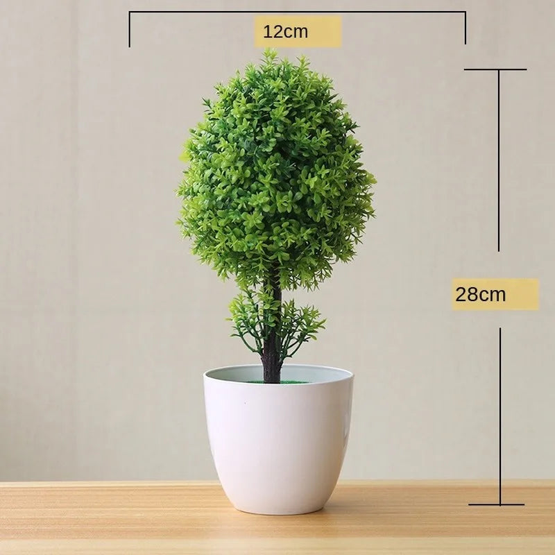 Brehn | Kleine Baumtopf Bonsai Pflanzen