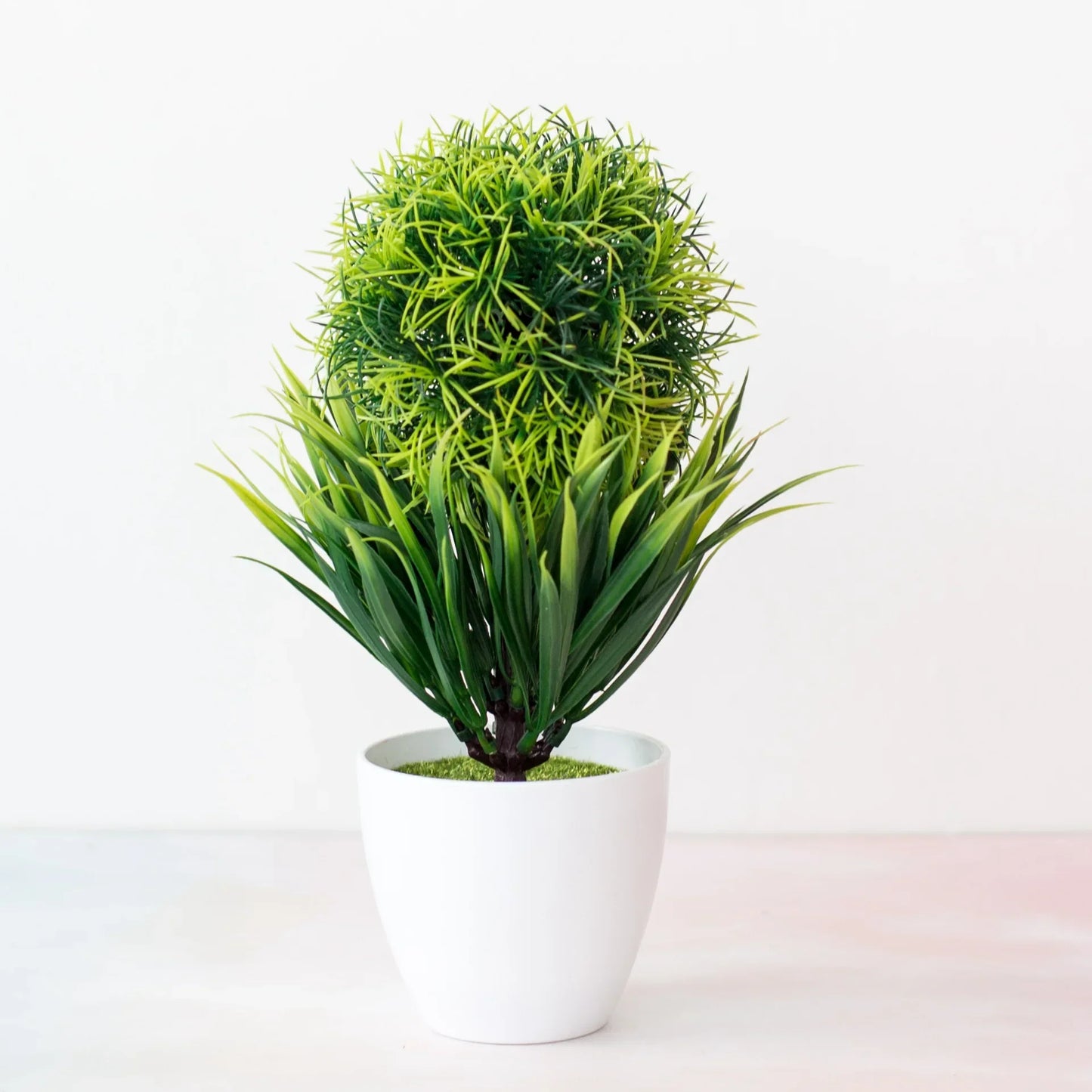 Brehn | Kleine Baumtopf Bonsai Pflanzen