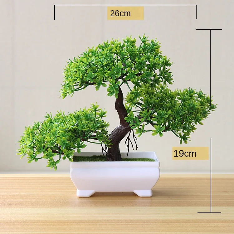 Kleine Bonsai-Pflanzen im Topf