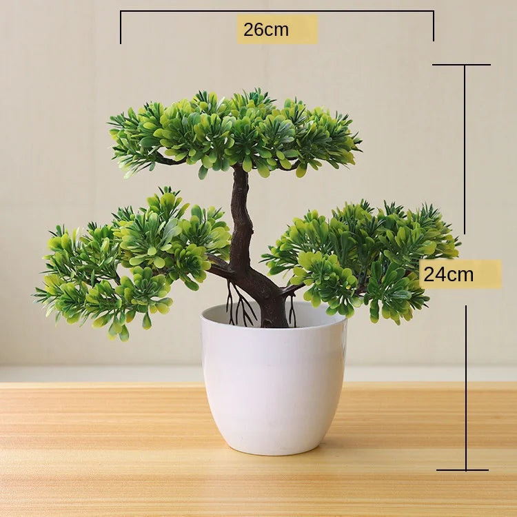 Brehn | Kleine Baumtopf Bonsai Pflanzen