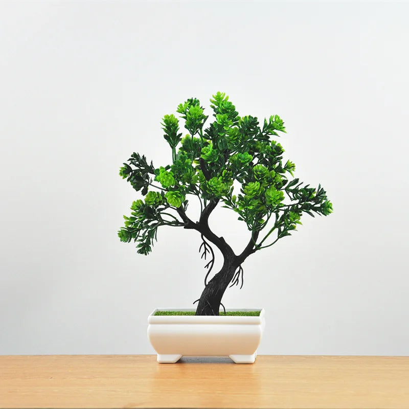 Brehn | Kleine Baumtopf Bonsai Pflanzen