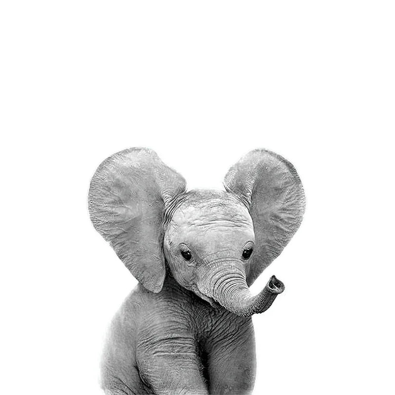 Baby Süße Tiere Wandaufkleber Für das Kinderzimmer Abnehmbar Peel and Stick Vinyl Wandtattoos Für das Zimmer des Babys Kreative DIY Wanddekoration | Brehn