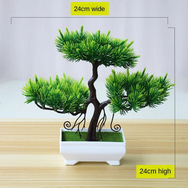 Brehn | Kleine Baumtopf Bonsai Pflanzen
