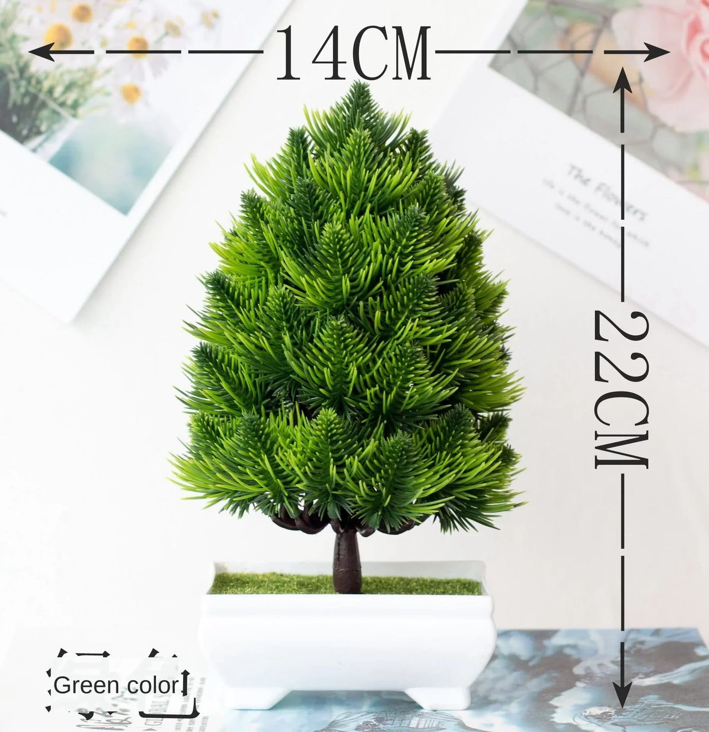 Kleine Bonsai-Pflanzen im Topf
