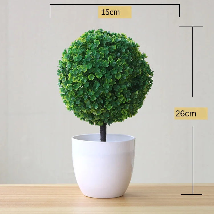 Brehn | Kleine Baumtopf Bonsai Pflanzen