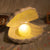 Chelly Chic Muschel Lampe | Eine magische Lampe mit einer Perle | Brehn
