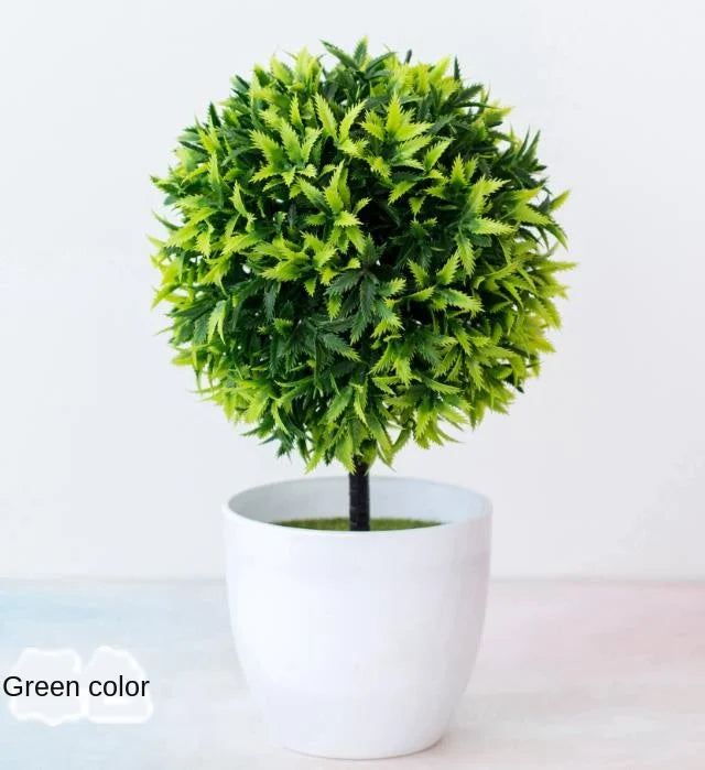 Brehn | Kleine Baumtopf Bonsai Pflanzen