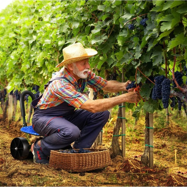 GrowGlide – Ergonomisches Gärtnern in jeder Ecke!