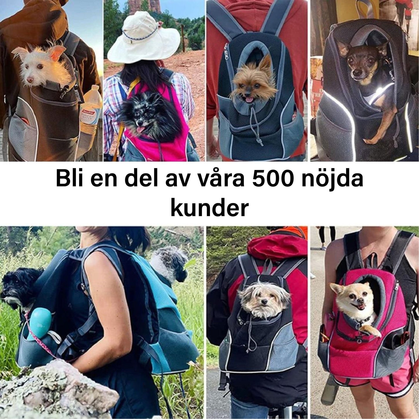 Brehn | PawCarry – Gemeinsam überall unterwegs