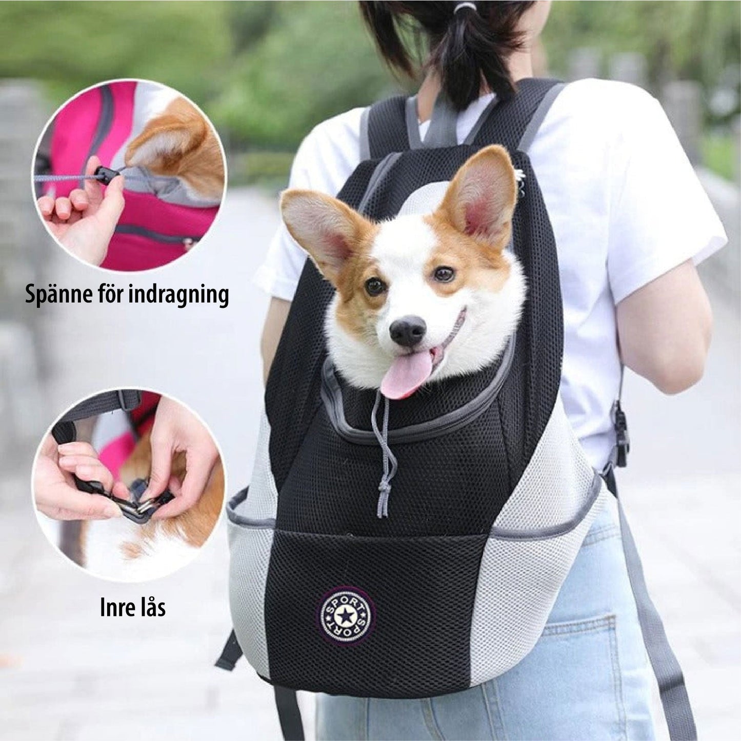 Brehn | PawCarry – Gemeinsam überall unterwegs