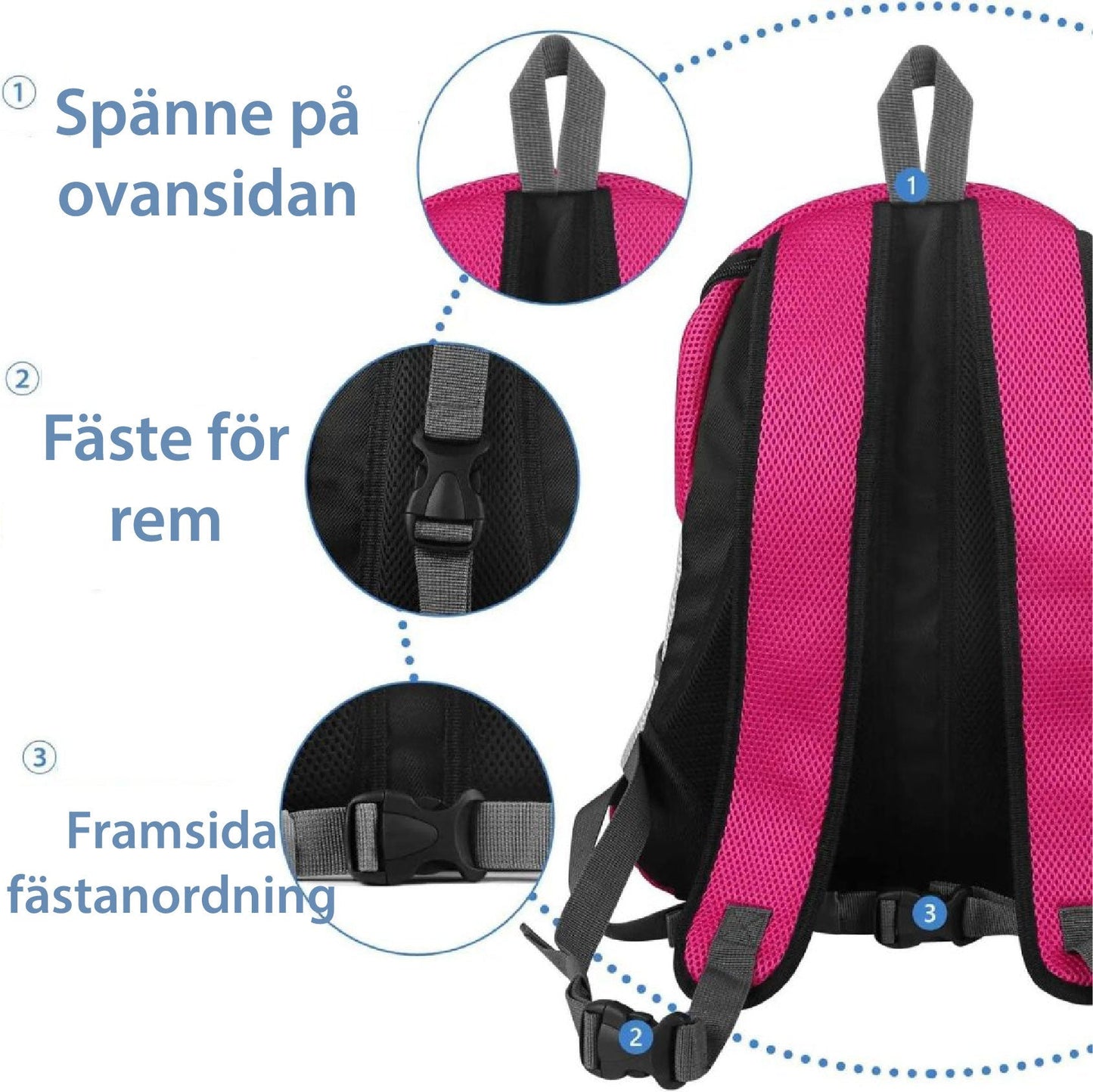 Brehn | PawCarry – Gemeinsam überall unterwegs