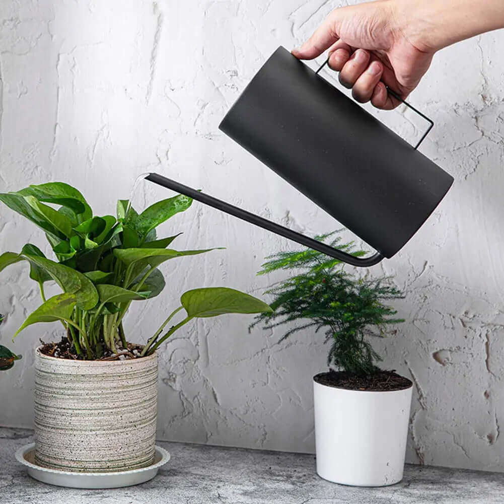 Brehn | Japanische 1,5L Bonsai Gießkanne