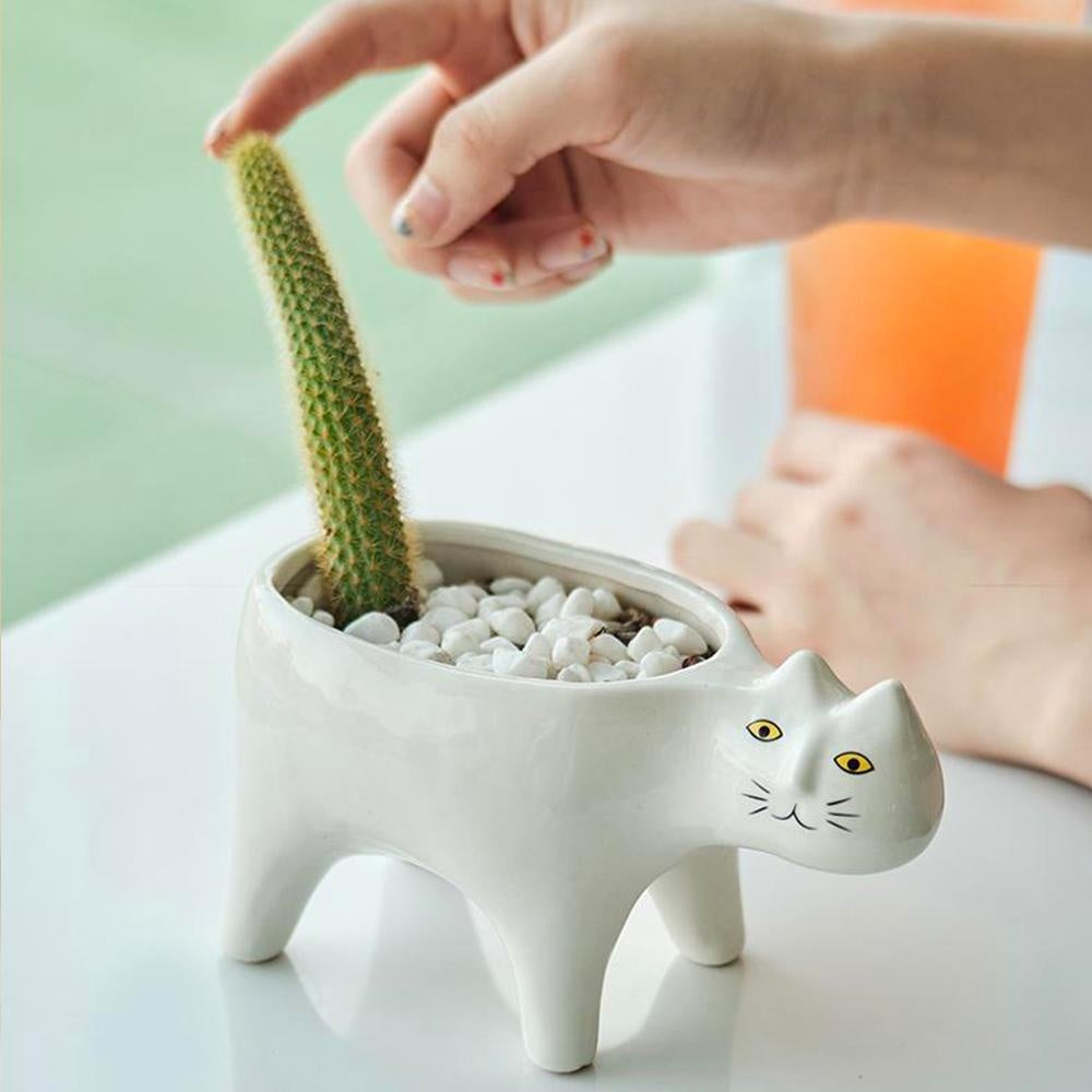 Kat Pot | Brehn