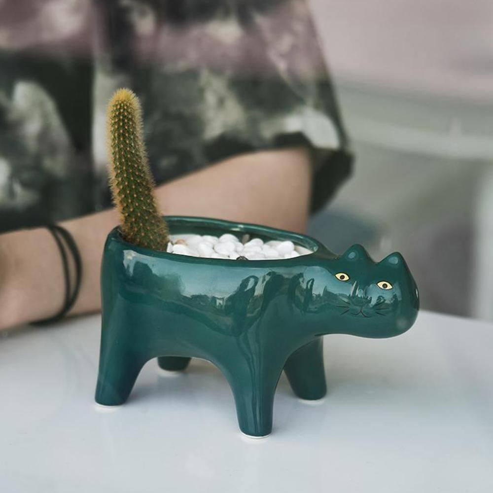 Kat Pot | Brehn