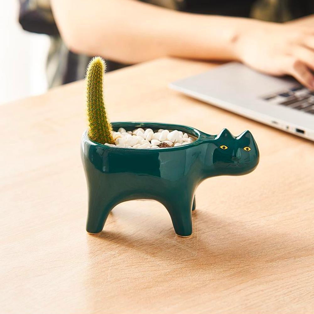 Kat Pot | Brehn