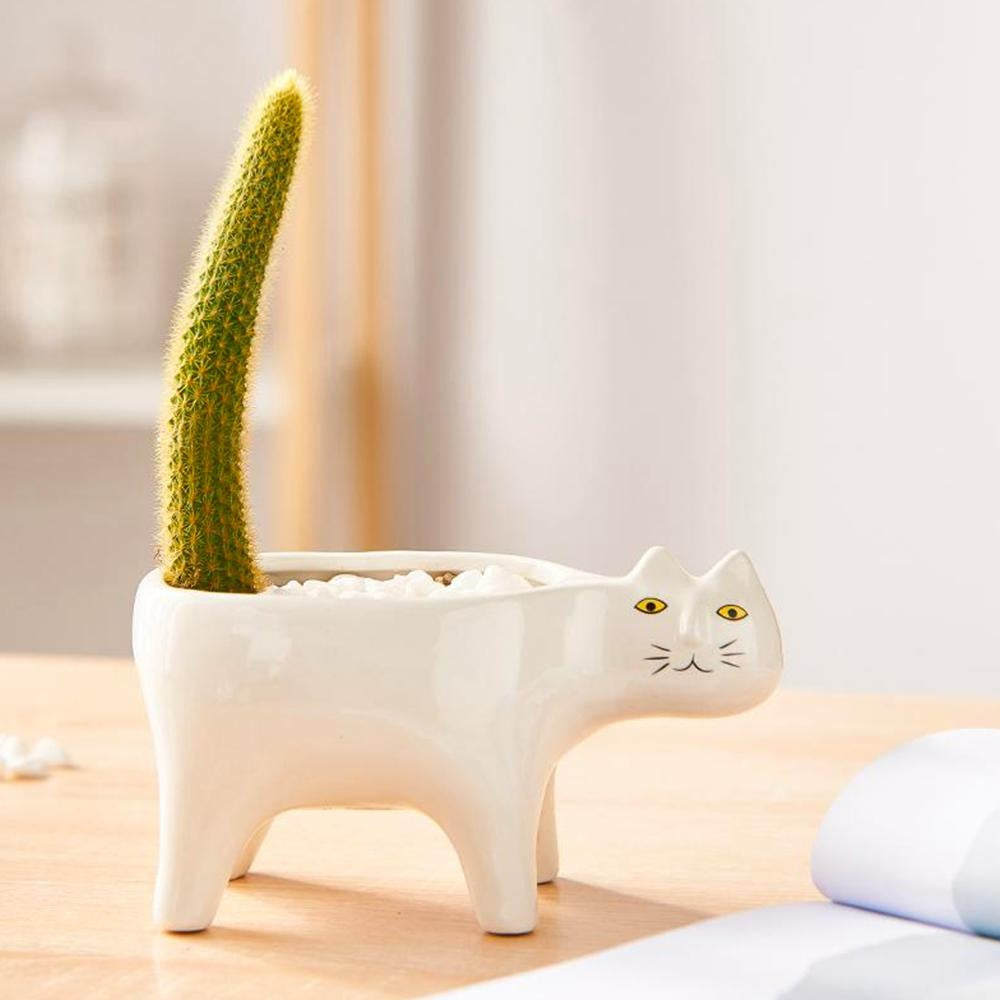 Kat Pot | Brehn