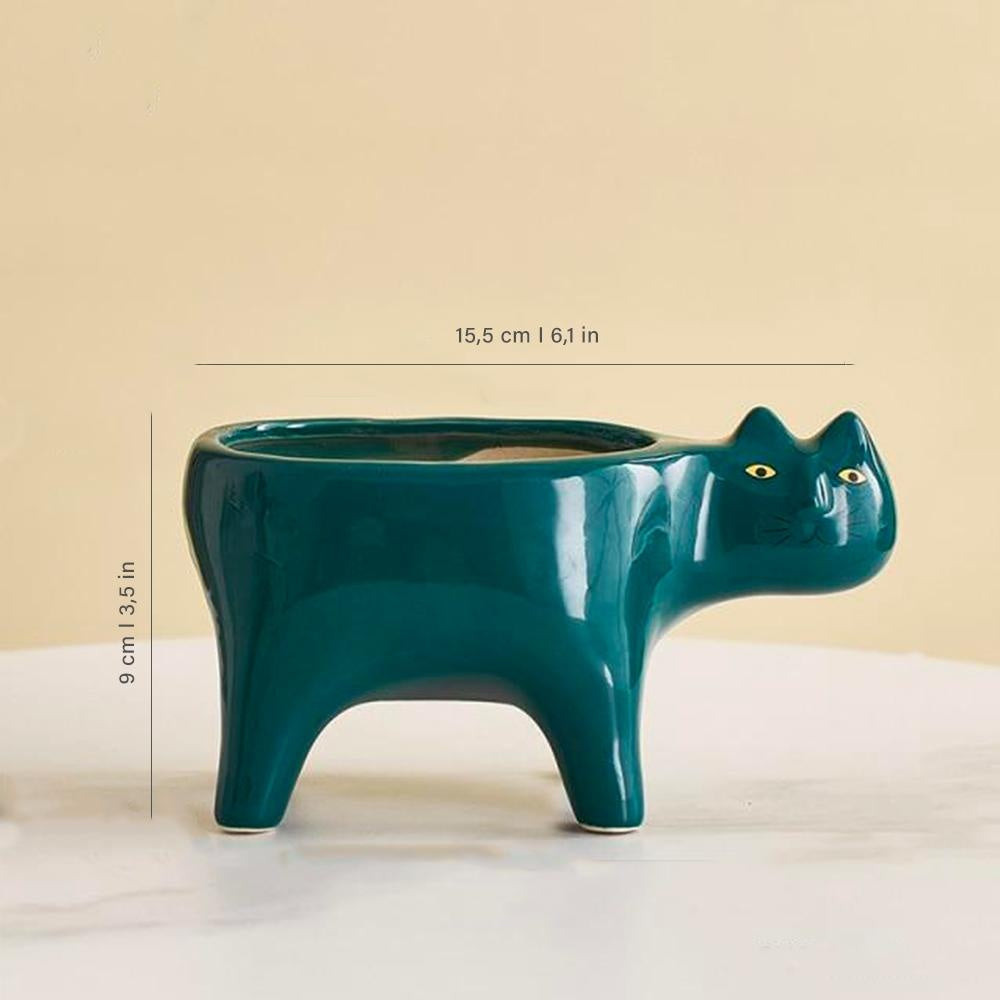 Kat Pot | Brehn