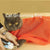 PetPamper Pack | Brehn