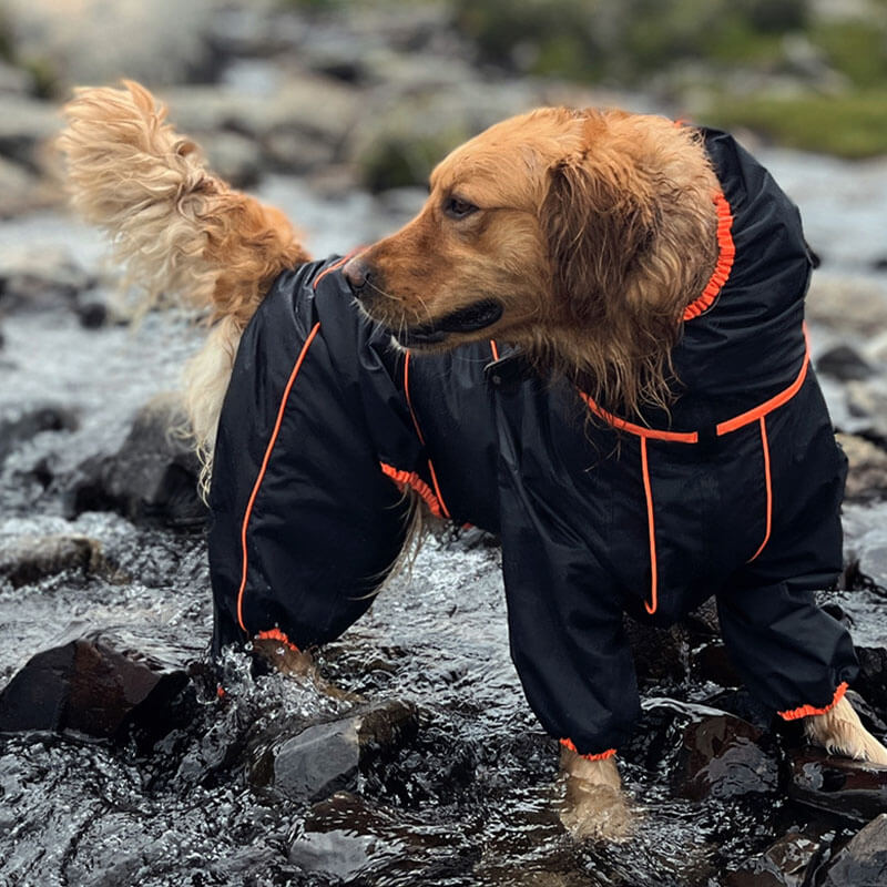 Große Hund Outdoor Jacke Wasserdicht Verstellbarer Hund Regenmantel