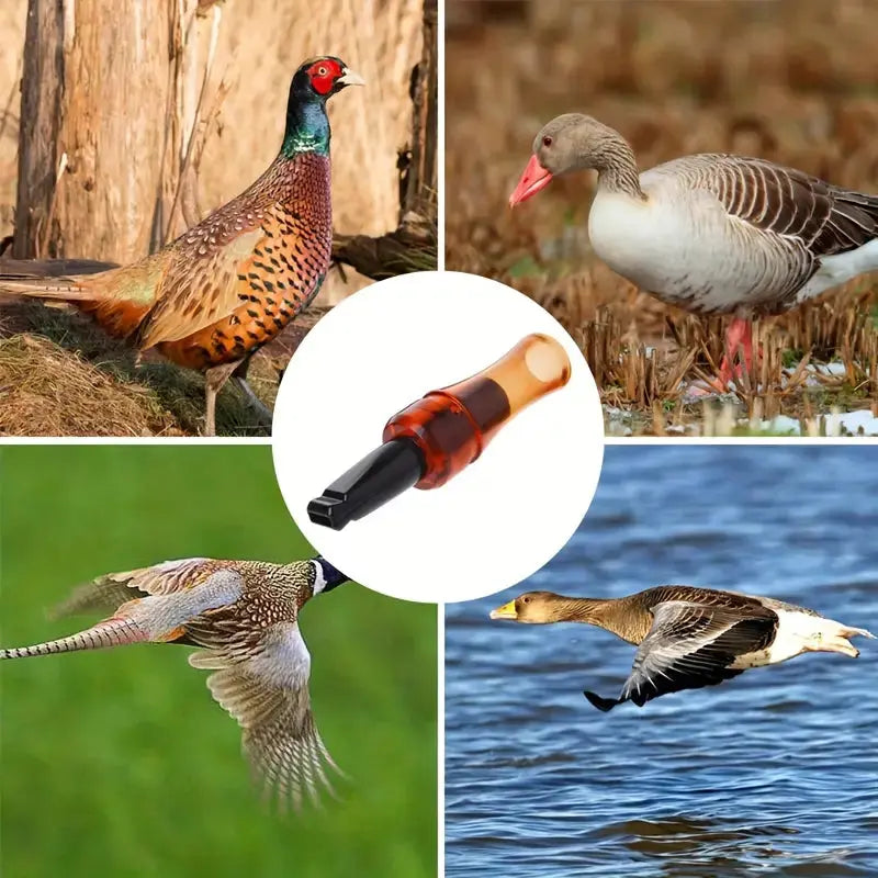 Krähe Lockpfeife für Jagd, Natur & Training – Realistischer Sound aus der Tasche