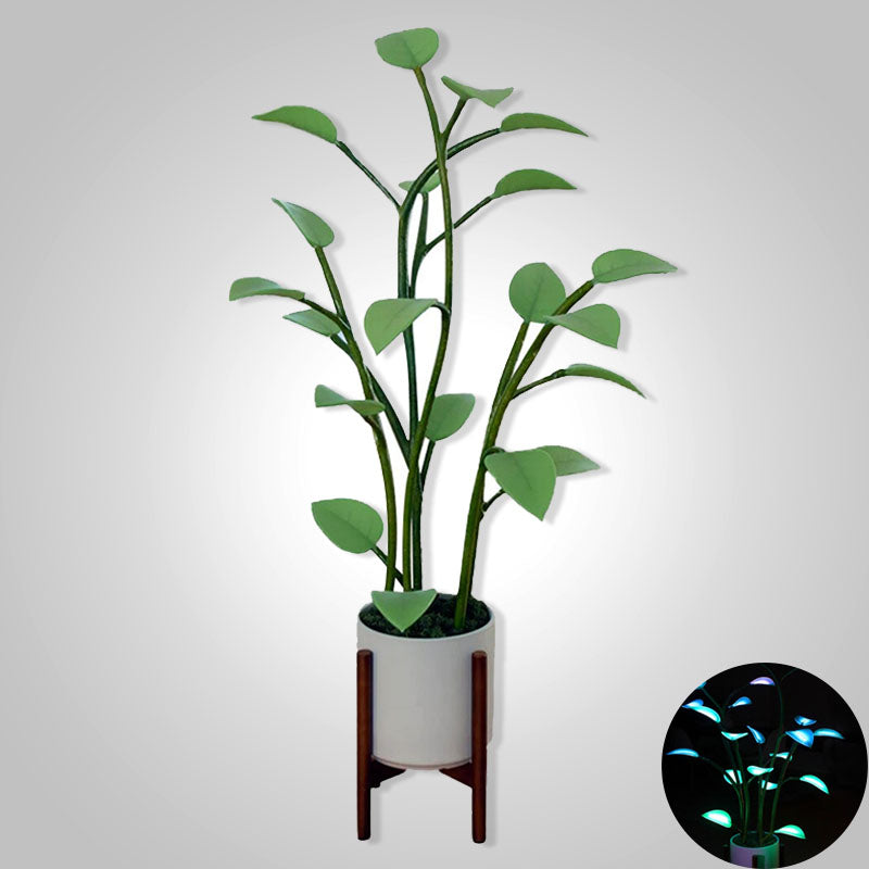 Leuchtende Blüte | Magische LED-Pflanze