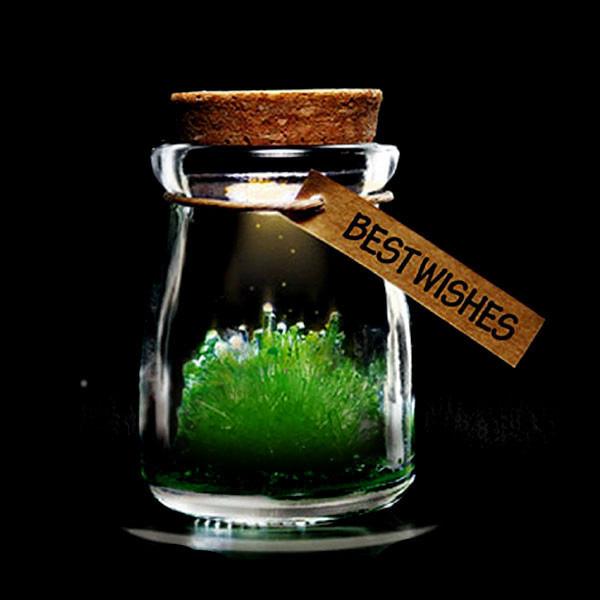 Magic Crystal Growing Jar Kit (Verschiedene Farben und Nachrichten) | Brehn