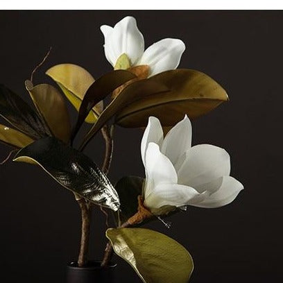 Magnolia Seidenblume | Brehn