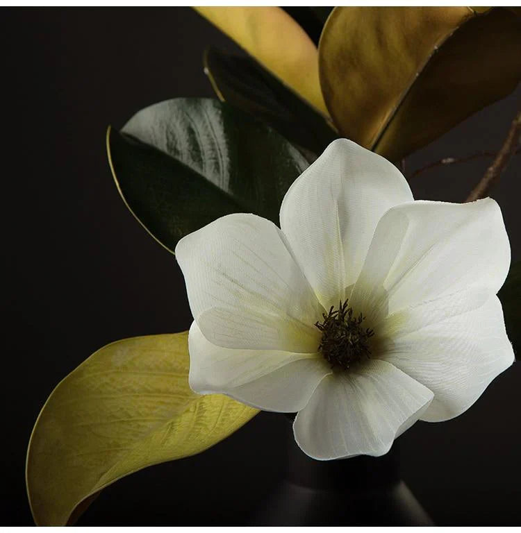 Magnolia Seidenblume | Brehn