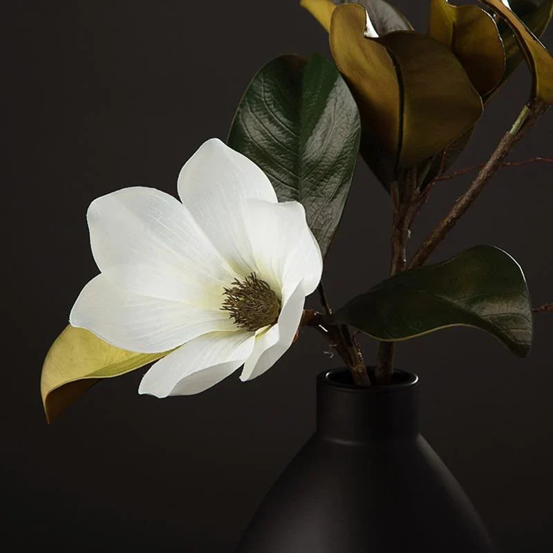 Magnolia Seidenblume | Brehn