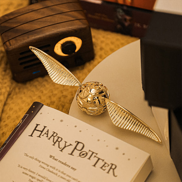 Goldene S-Ringbox