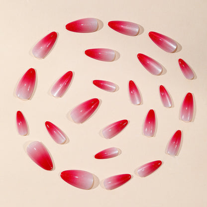 Ombre Stiletto Nail Art Extensions Brehn