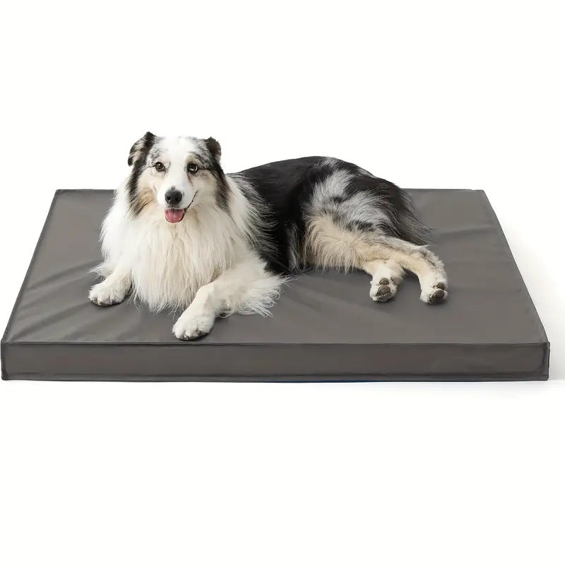 Orthopädisches Hundematratze Hundebett