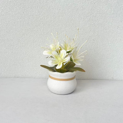 Dekorative florale Anzeige für Wohnkultur Anzeige