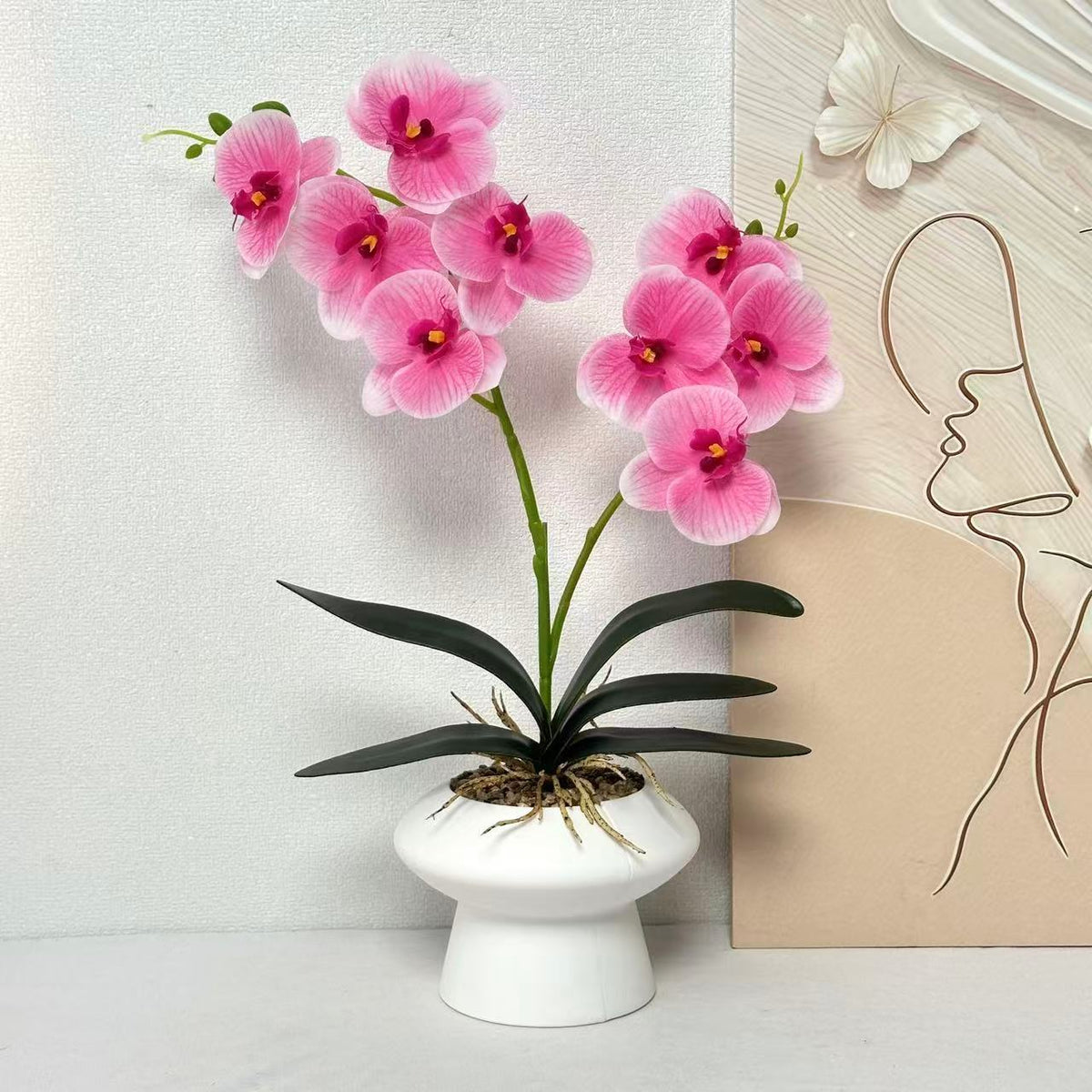 Dekorative Orchideenpflanze Tischmittelpunk