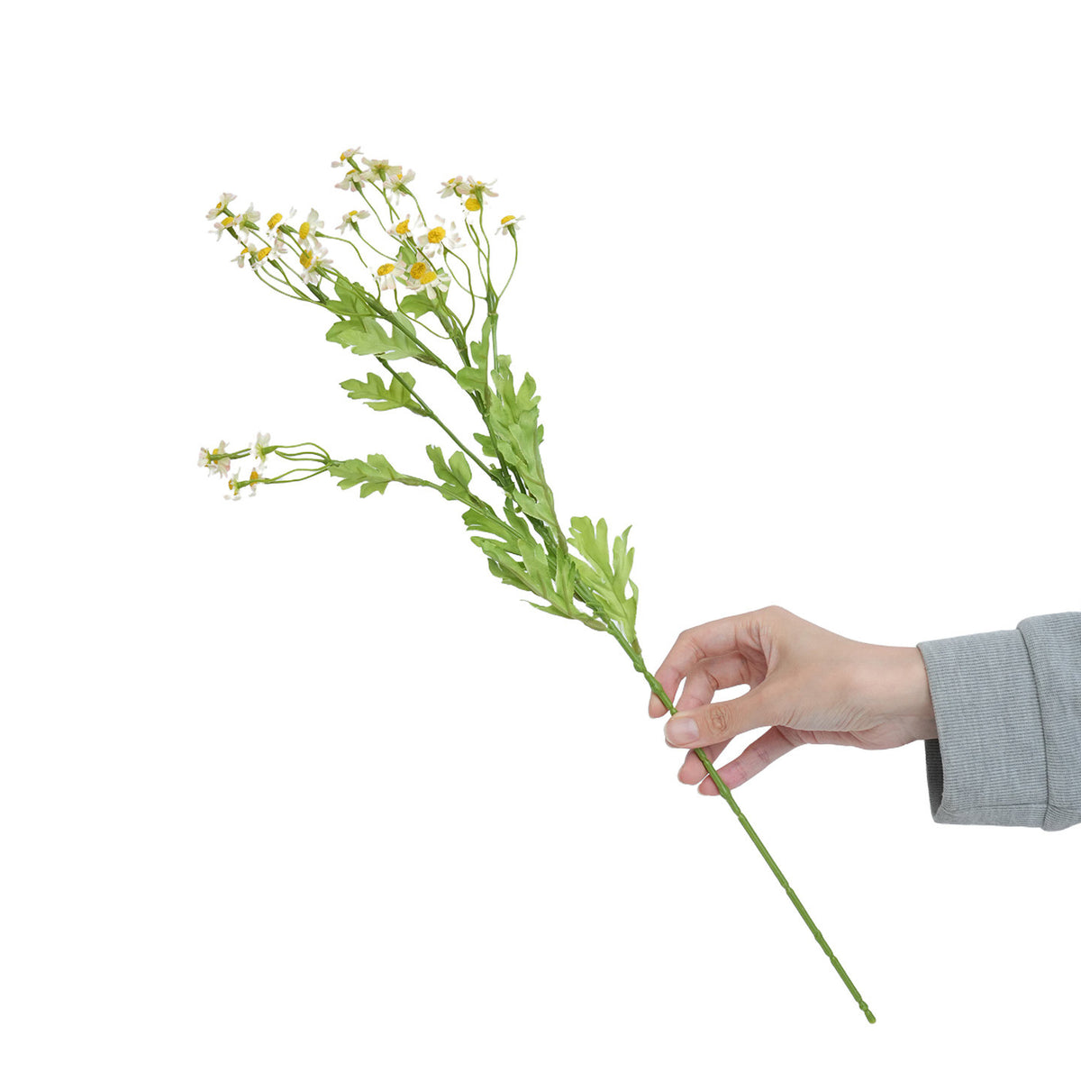 Realistische gelbe Wildblumenstiel