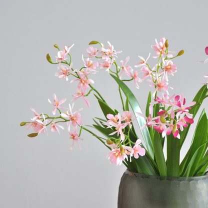 Lebensechte Orchideenblütenstängel