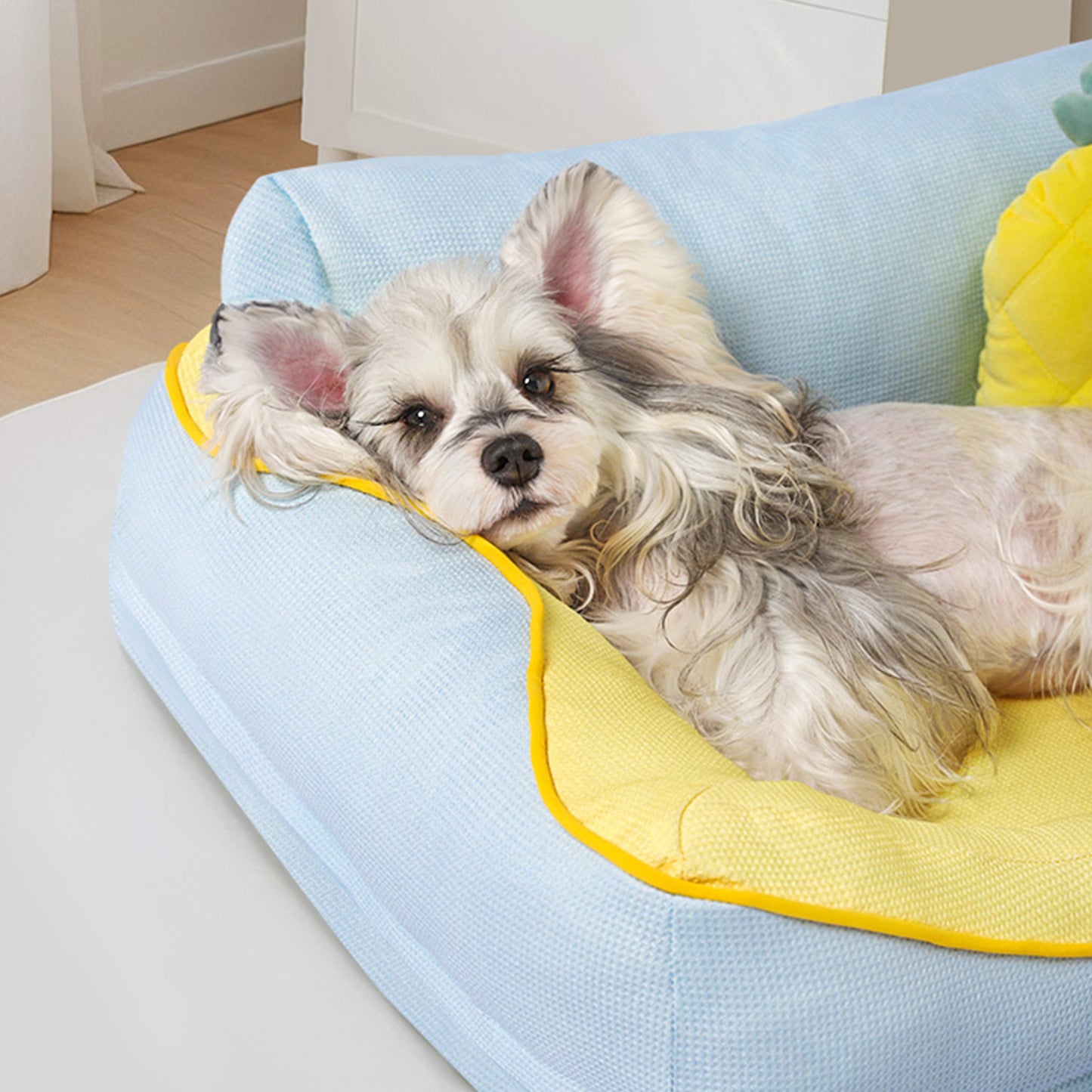 Gemütliches Hundebettsofa mit Kissen