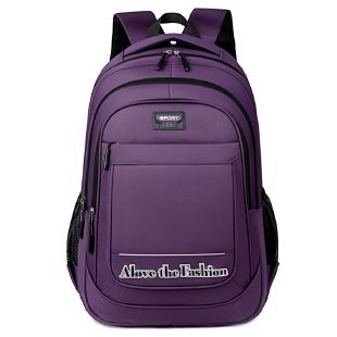 Professioneller Laptop-Rucksack Brehn