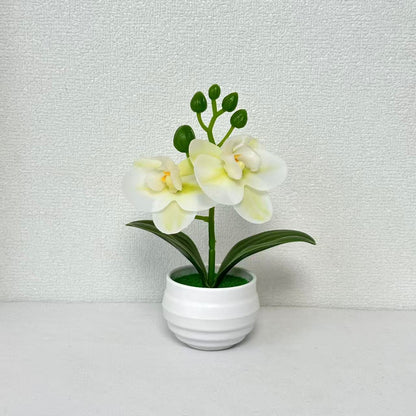 Lebensechte künstliche Orchideenpflanzenanordnung für die Innendekoration