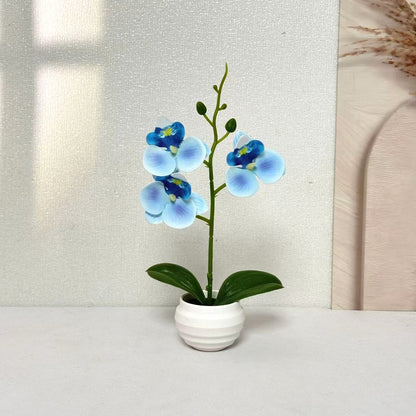 Elegante dekorative Orchideenpflanzenanordnung für die Wohnkultur