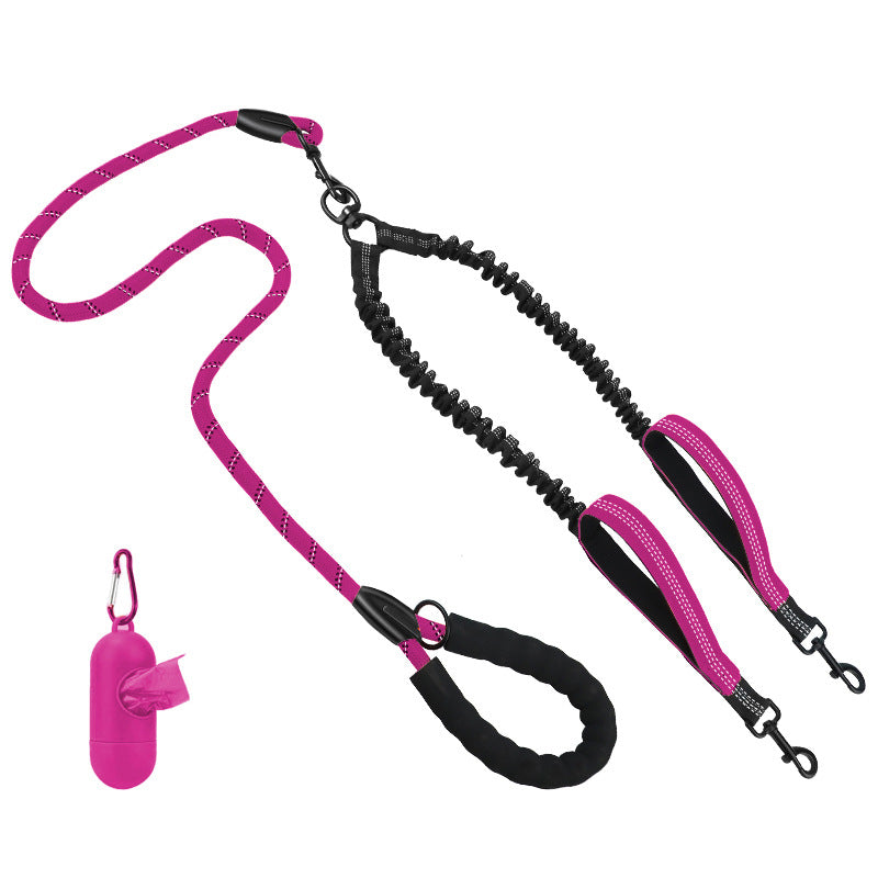 Hundetraining Leine